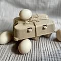 eggs carton