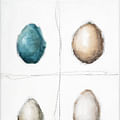 four eggs