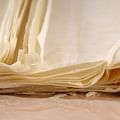 Phyllo dough package