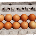 large eggs