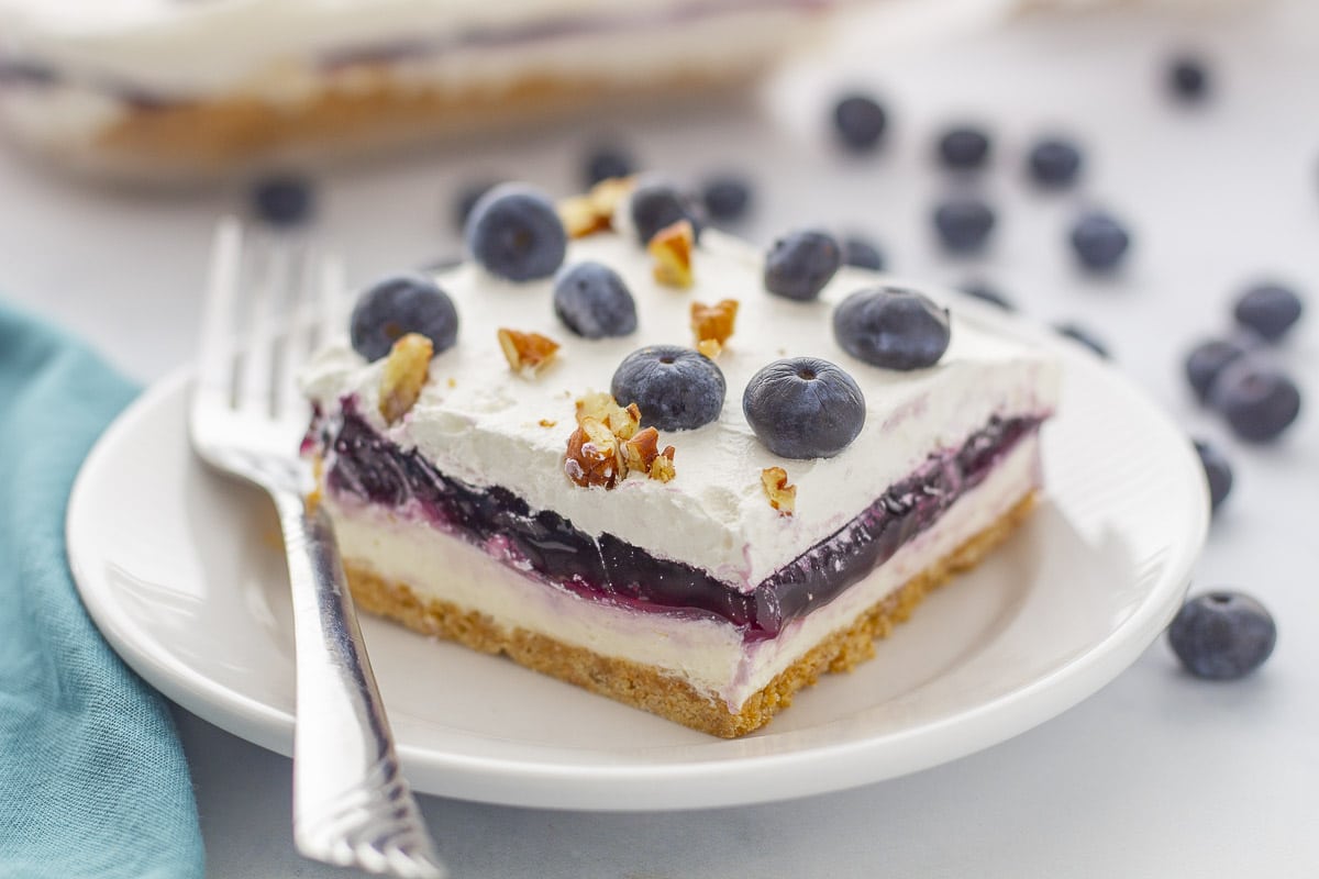fresh blueberries dessert